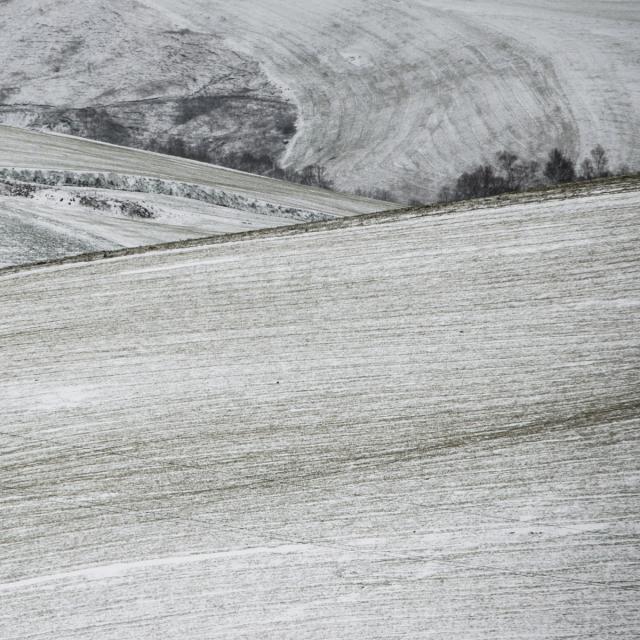 A snowfall (12)